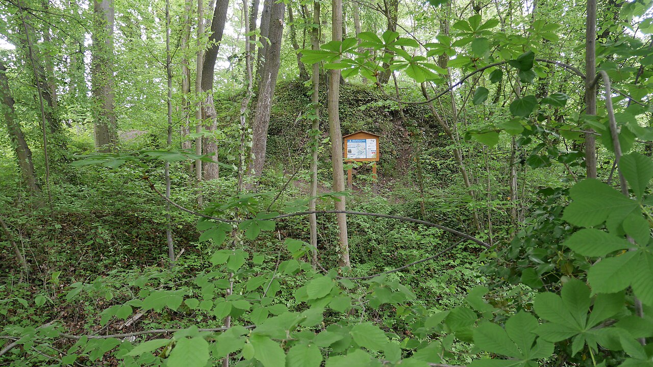 Dillweißenstein Hoheneck Ruine