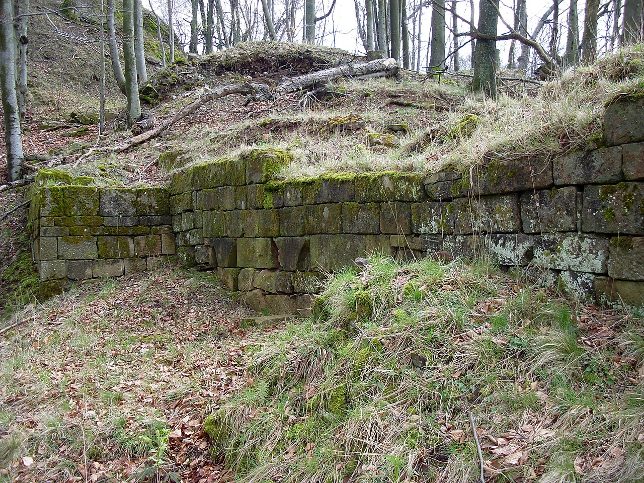 Burgruine Hohenfels Imsbach