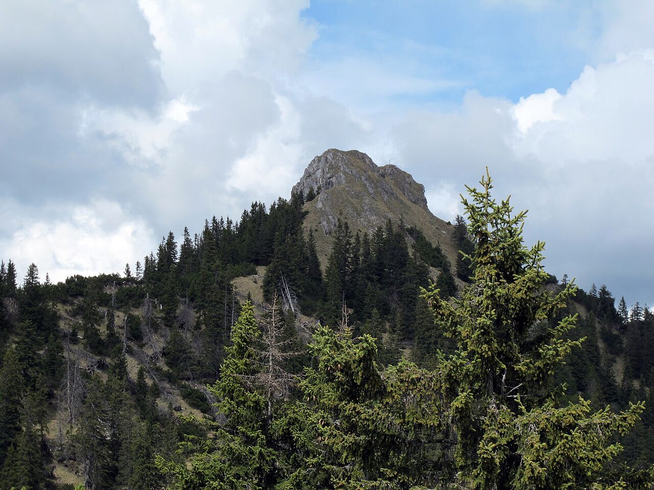 Hoher Grasberg