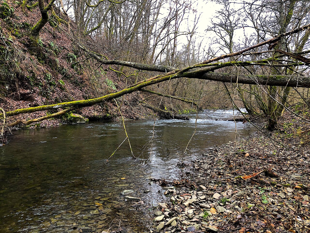 Foto von Hoher Stein