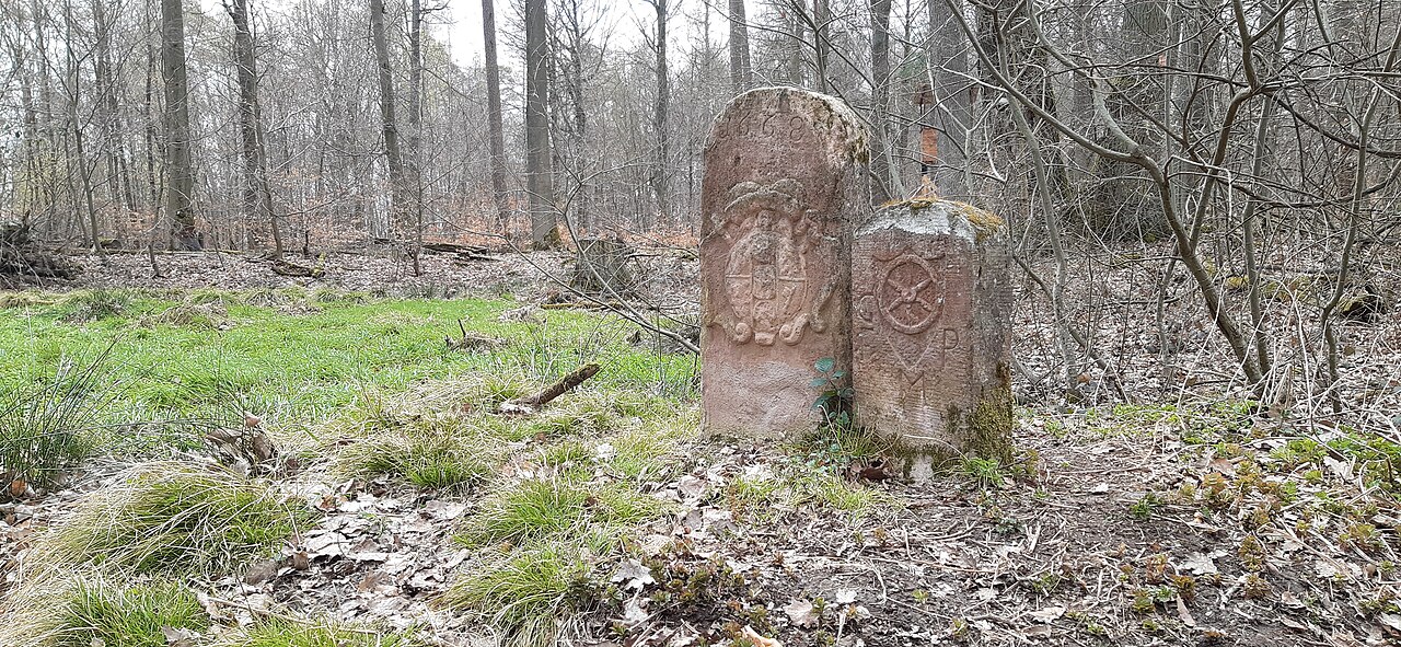 Foto von Hoher Stein