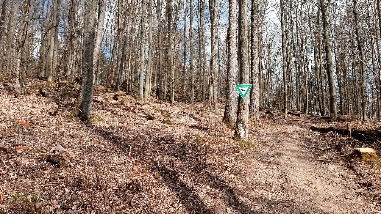 Naturdenkmal in Deutschland