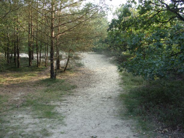 Naturschutzgebiet „Holle Sand“