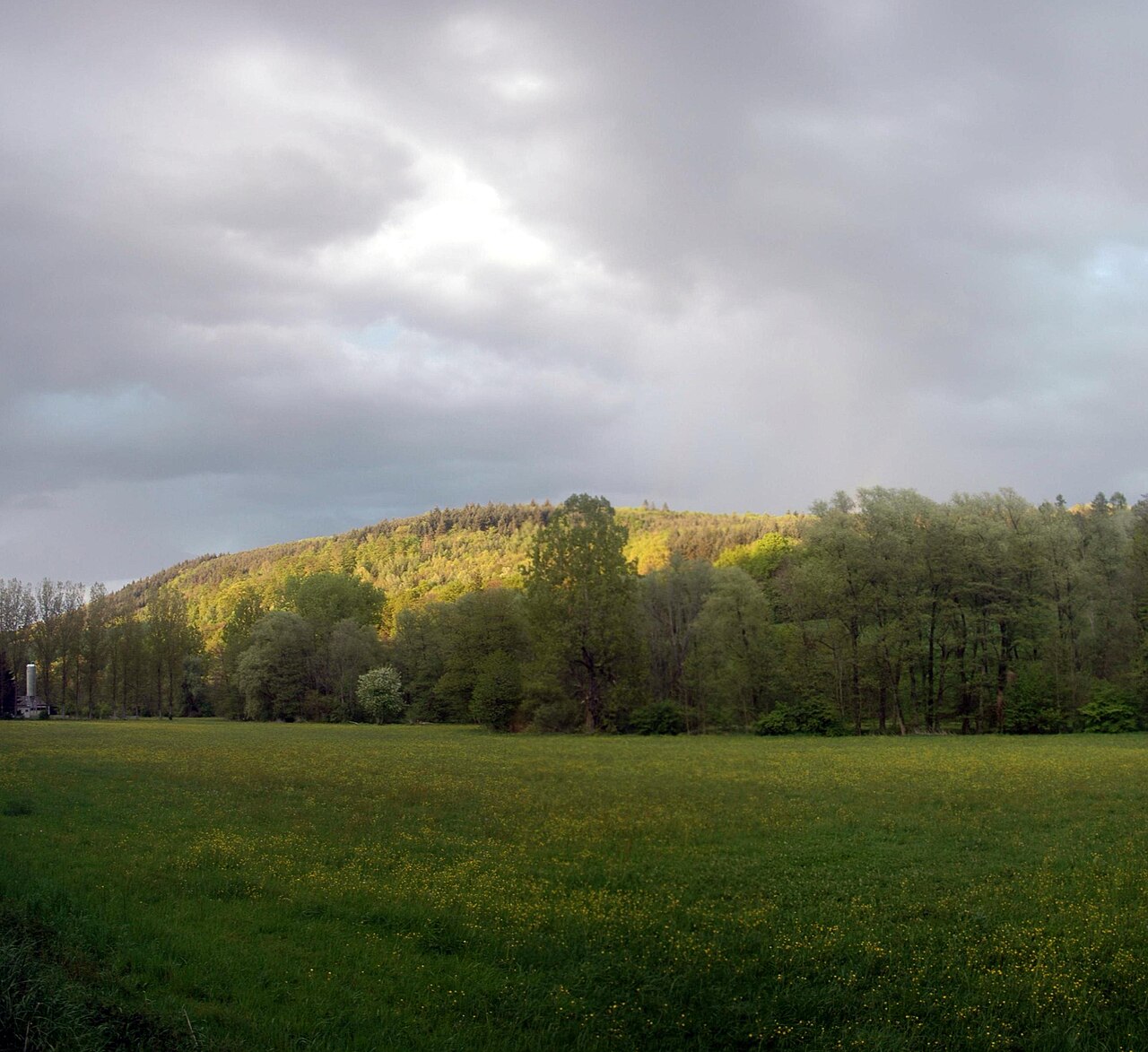 Burg Hollmut bei Bammental