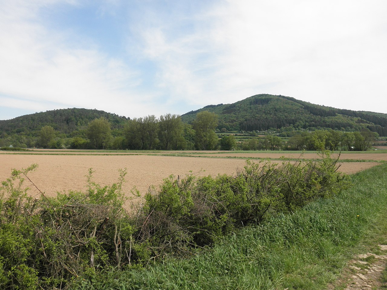 (NSG:HE-1534025)_Homberg bei Buchenau, the protected landscape is situated on the back of the right mountain