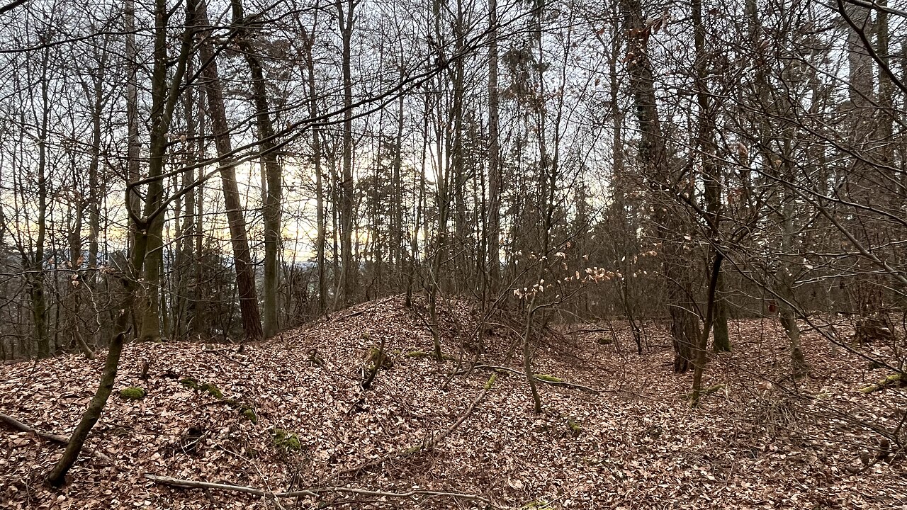 Homberg – Prähistorische Wehranlage im Wald oberhalb von Bassersdorf