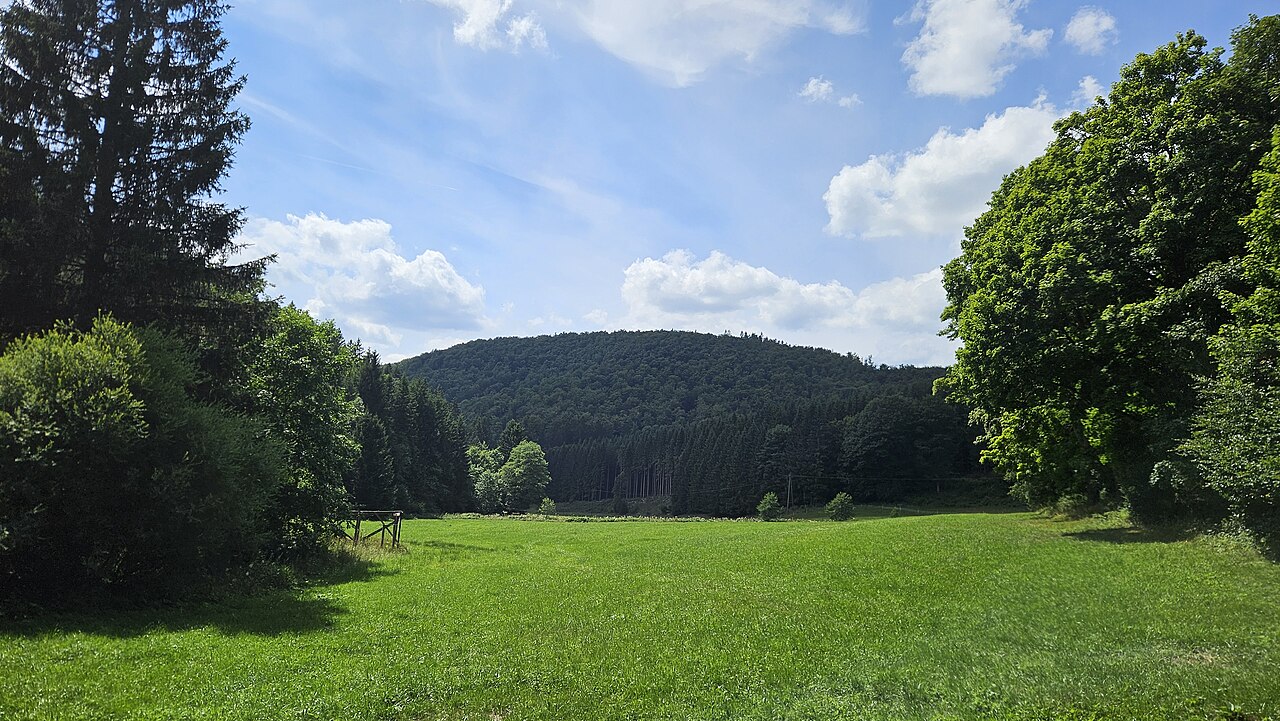 Gipfel des Homburges