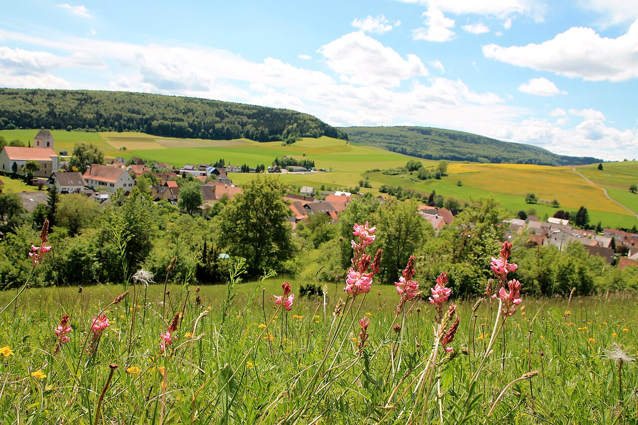 Typical flora in the natural reserve "Hondinger Zisiberg" in Baden-Württemberg, Germany