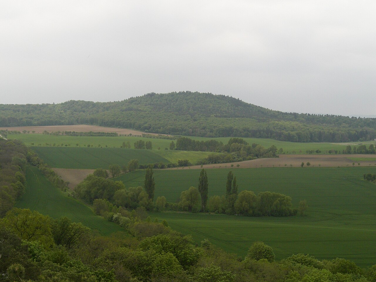 Hoppelberg (near Langenstein, Saxony-Anhalt, Germany) as seen from Glaserner Monch