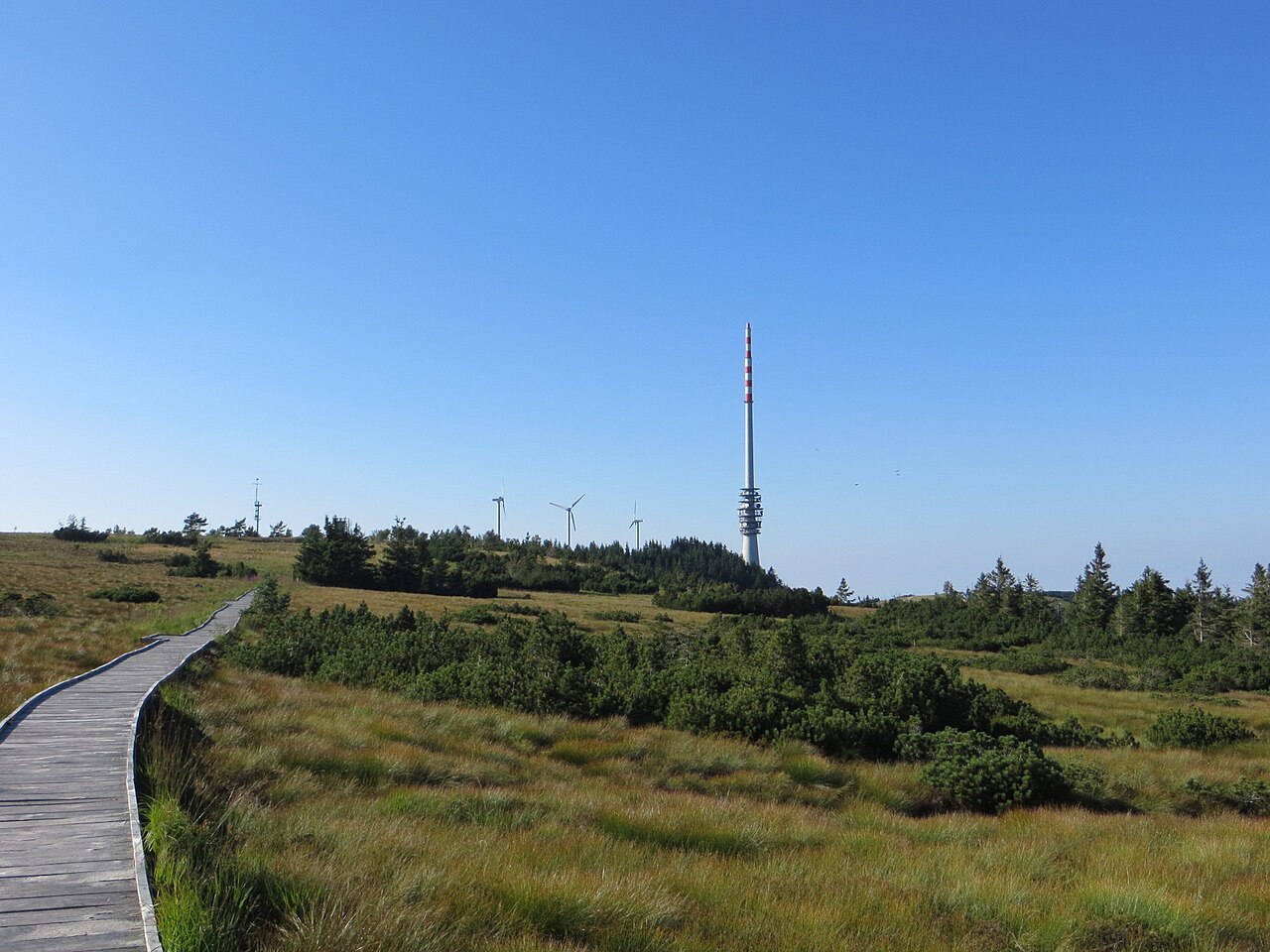 Tower and moor on the Hornisgrinde