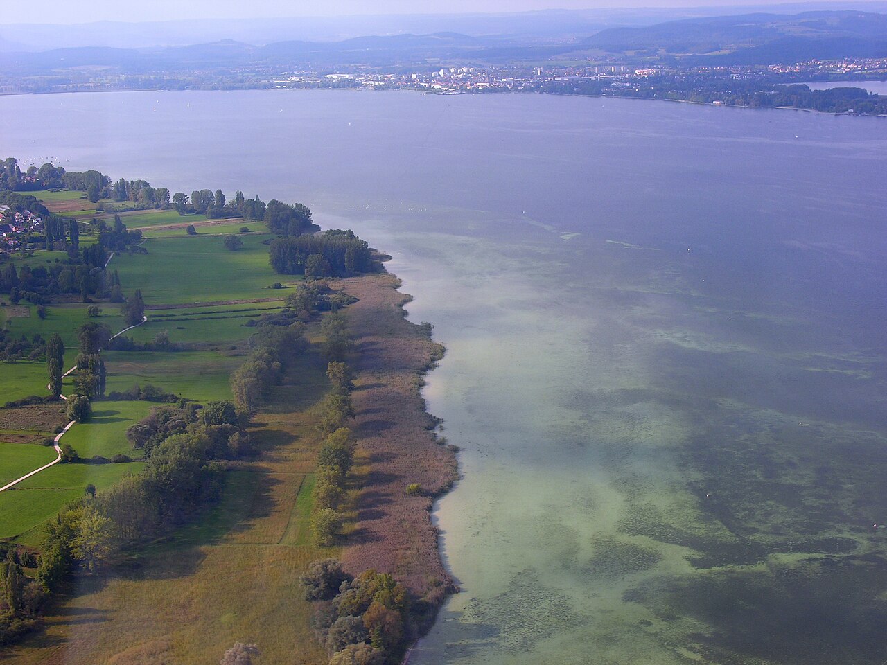 Germany , Baden-Württemberg , aerial view near Gaienhofen, "Hornspitze auf der Höri" nature reserve