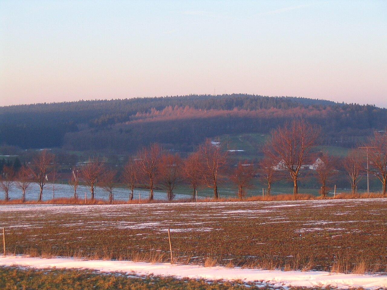 Der Berg Horst im Spessart von Süden, aufgenommen bei Lettgenbrunn im Jossgrund
