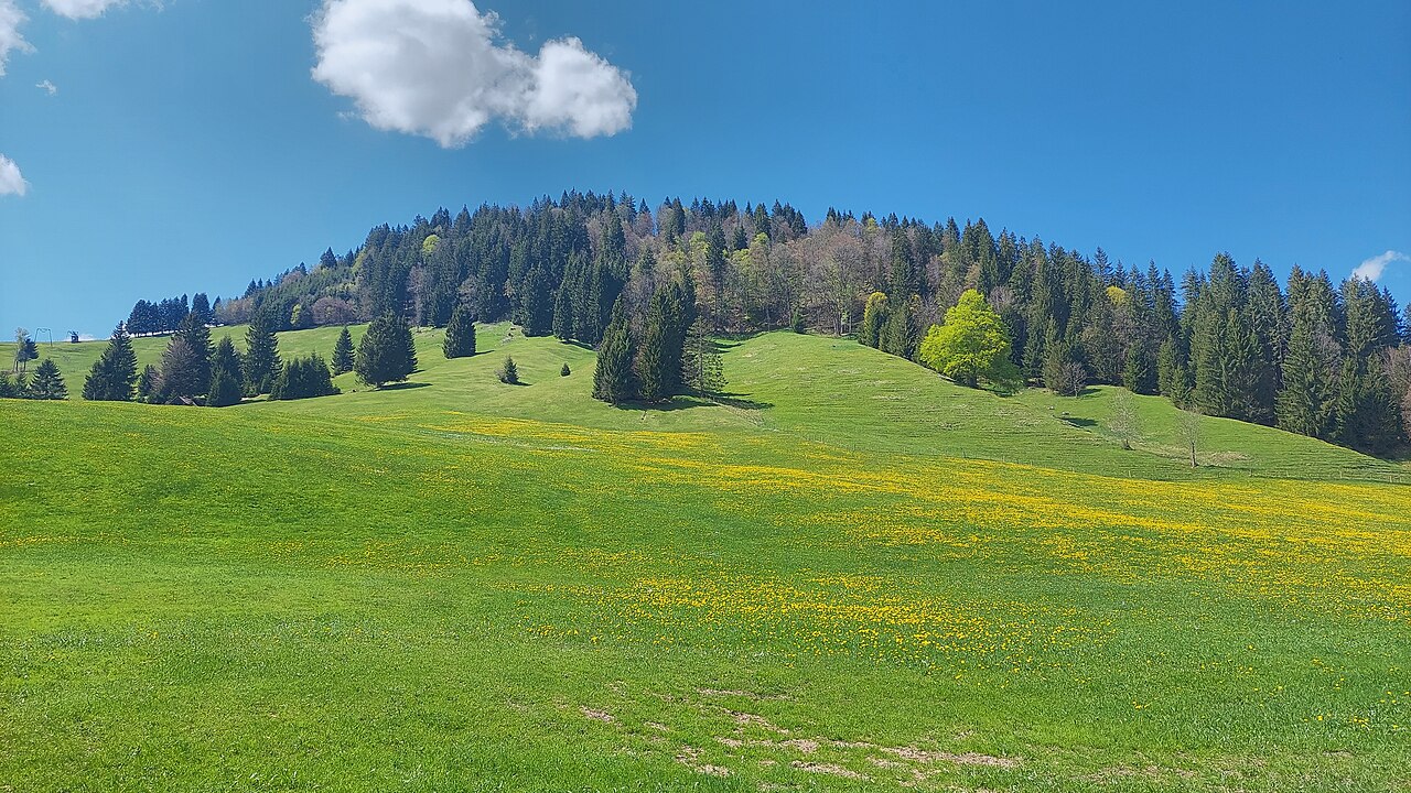 Hotzenberg, view from east