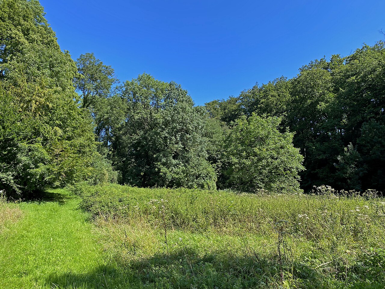 Aue des Hubbelrather Bachtal