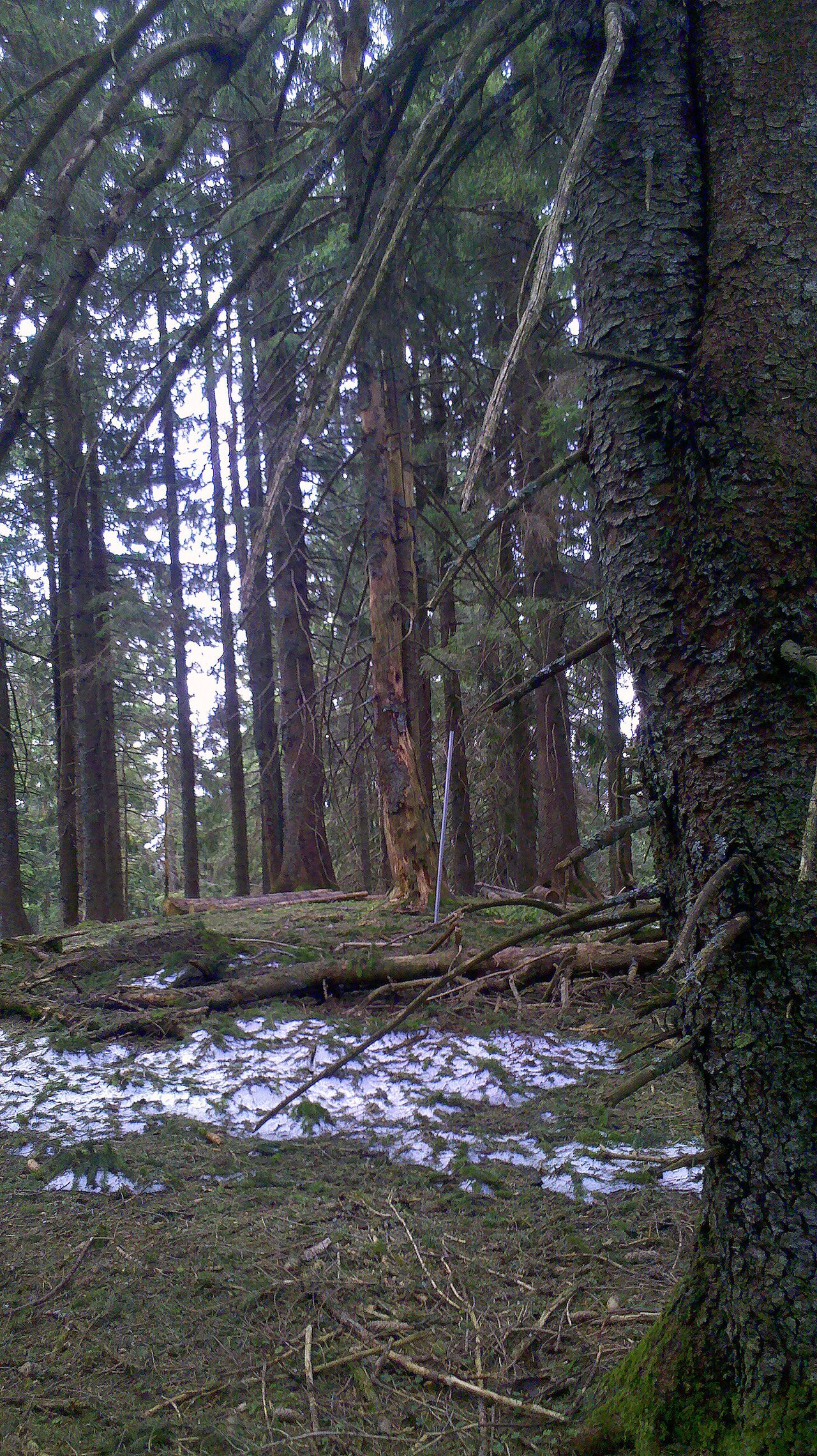 Huder, Tegernseer Berge, Germany
