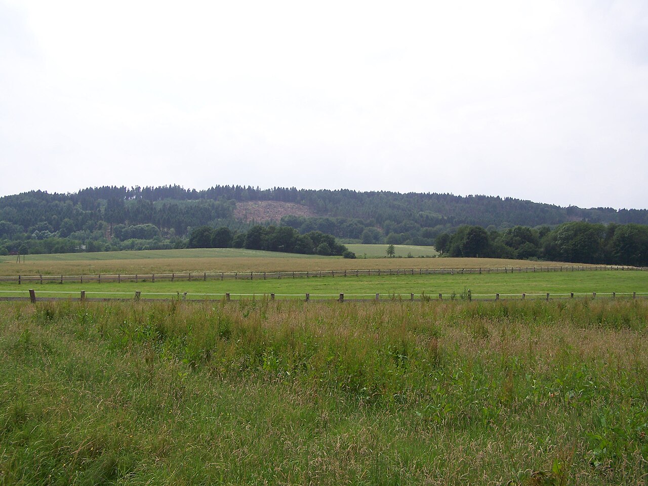 Foto vom Nordhang des Hüggels