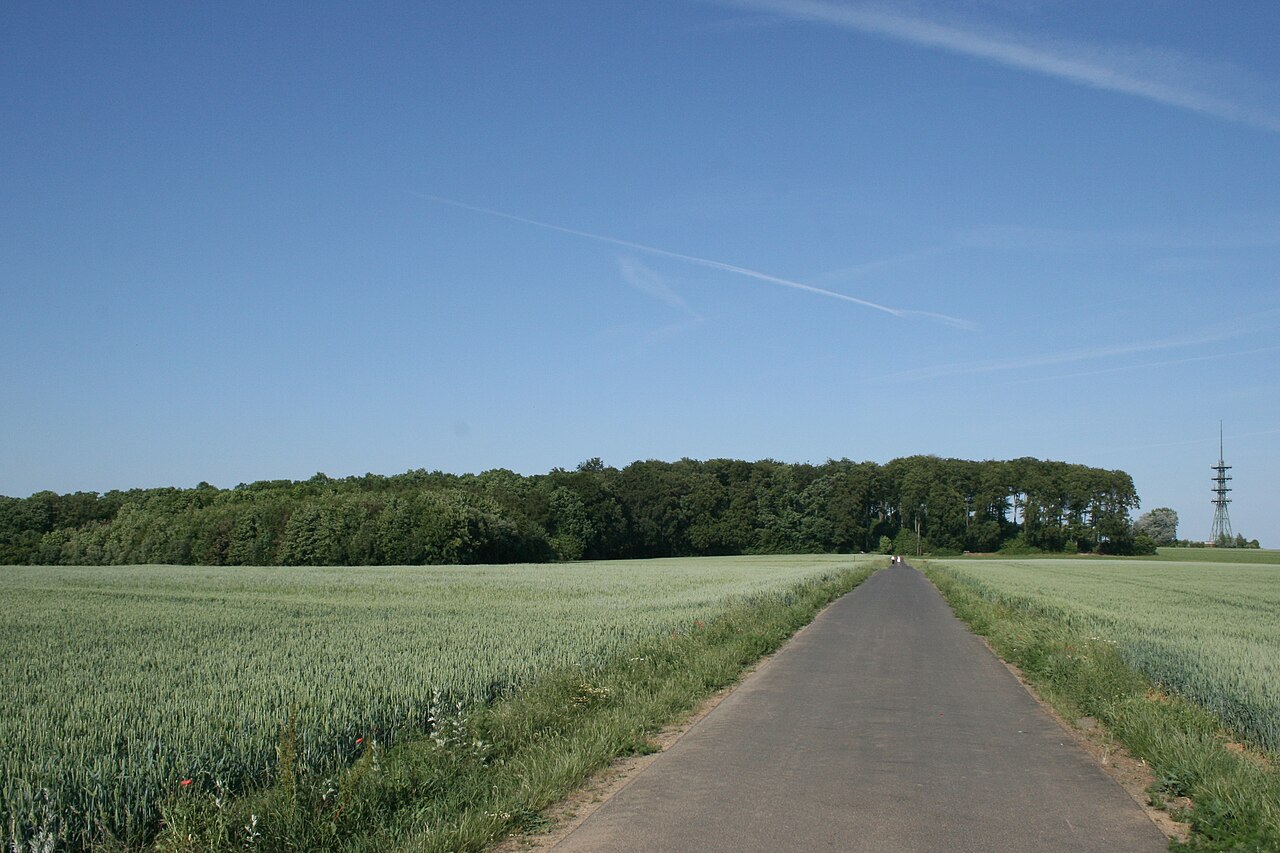 Hühnerberg zwischen Maintal und Niederdorfelden, Main-Kinzig-Kreis, Hessen