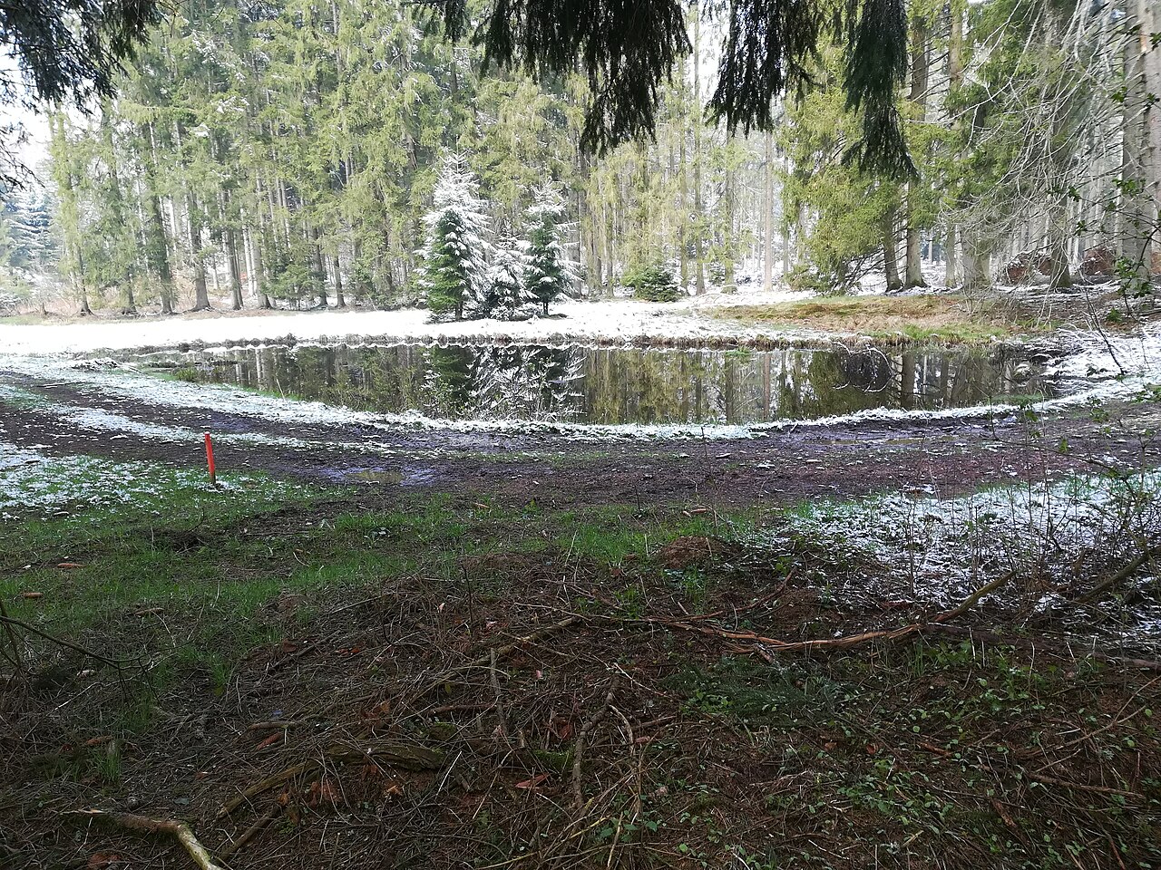Foto von Hülbe am Märtelesberg