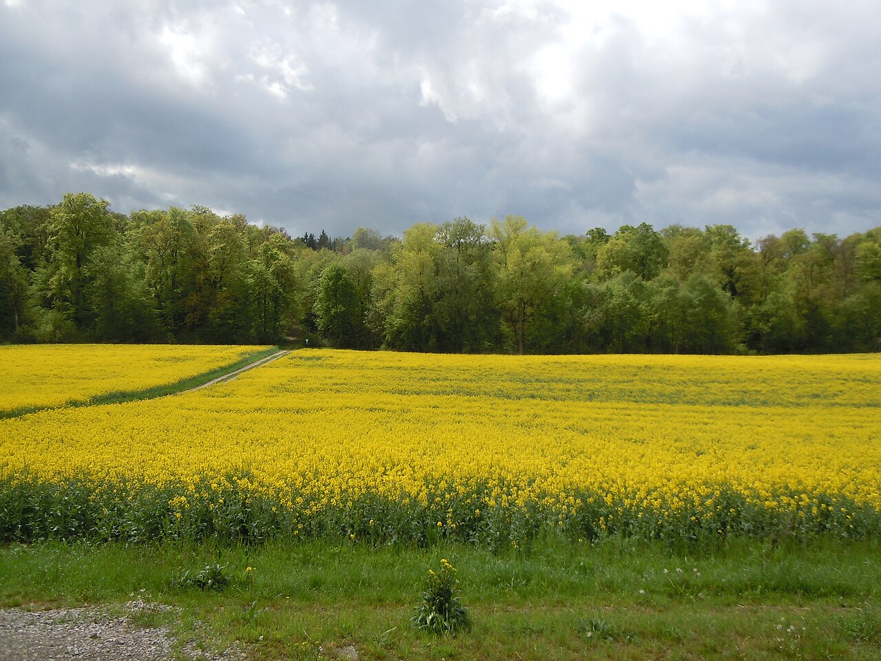 Naturschutzgebiet "Hülbe bei Sulz" (Nr