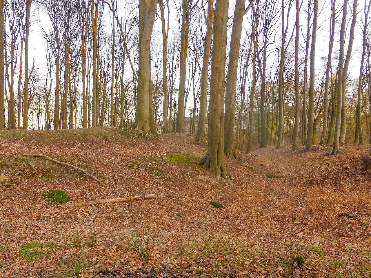Die Hünenburg bei Riemsloh, Blick auf den Vorburgwall von Nordwesten