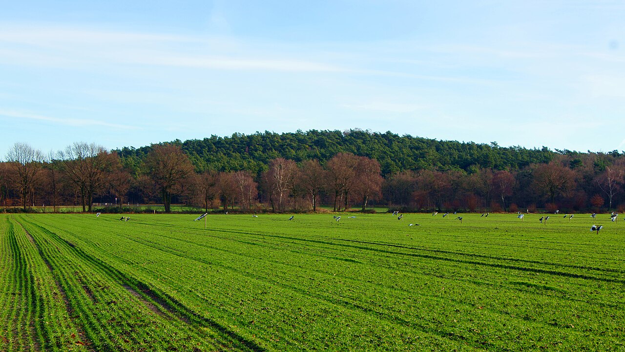 Foto von Hünsberg