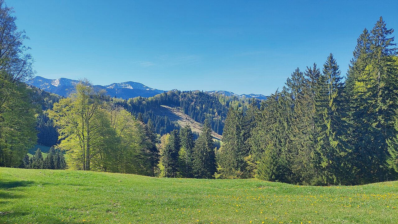 Hüttenberg in the municipality of Oberstaufen, view from north