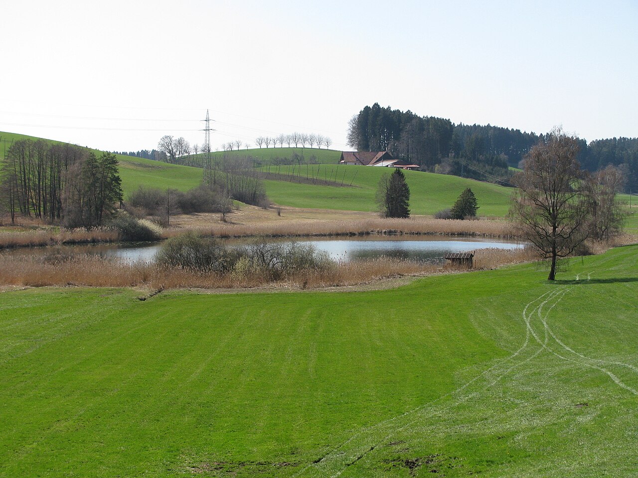 Germany - Baden-Württemberg - Bodenseekreis - Neukirch: nature reserve 'Hüttensee'