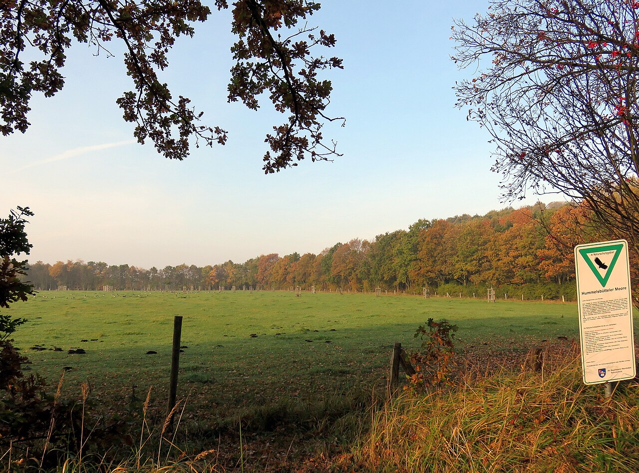 Foto von Hummelsbütteler Moore