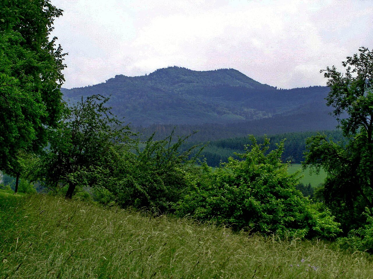 Hundsrücken