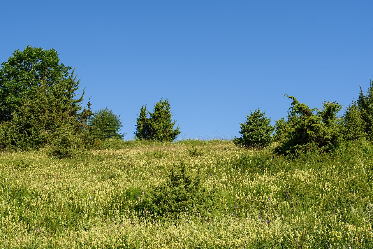 Naturschutzgebiet "Hungerberg" (NSG 4