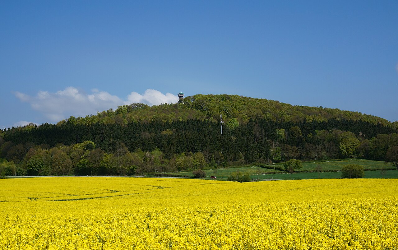 Hungerberg in der Stadt Marienmünster, nahe Ortsteil Vörden