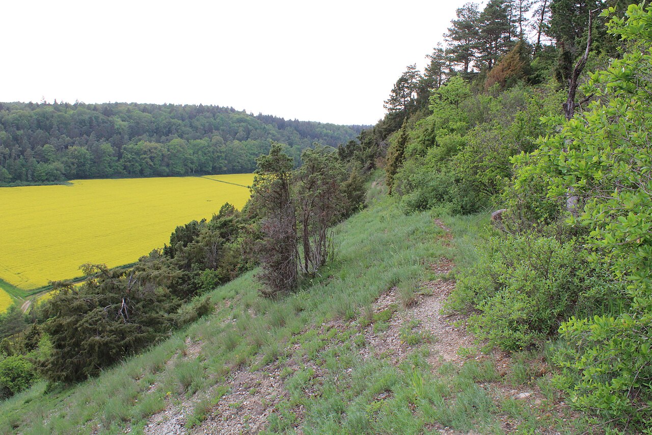Naturschutzgebiet Hunsenberg in Tauberbischofsheim im Main-Tauber-Kreis, Baden-Württemberg, Deutschland