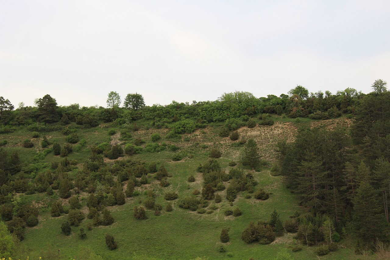 Naturschutzgebiet Hunsenberg in Tauberbischofsheim im Main-Tauber-Kreis, Baden-Württemberg, Deutschland