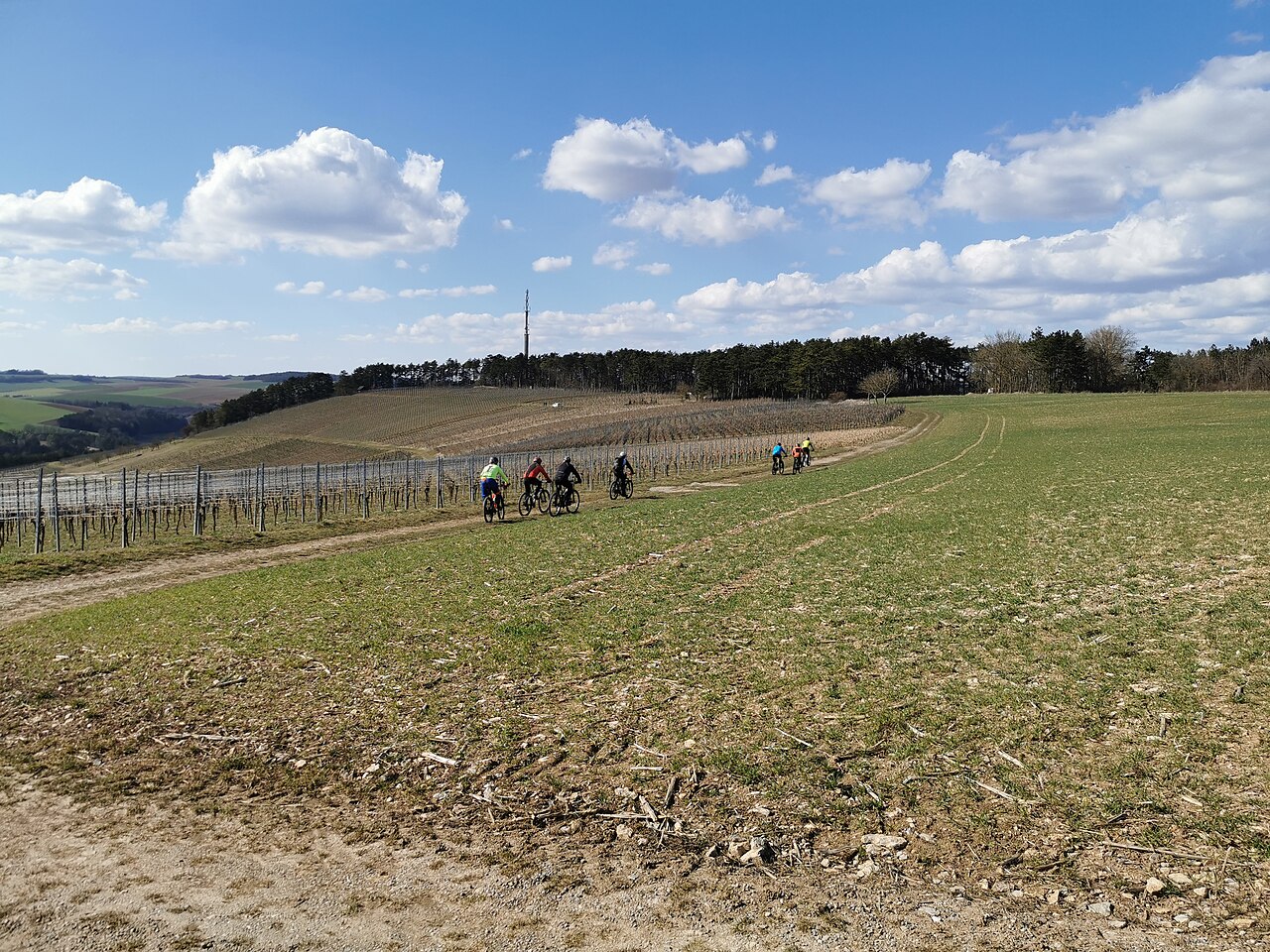 2022-03-19 Mountainbiketour in den Seitentälern des Mittleren Taubertals