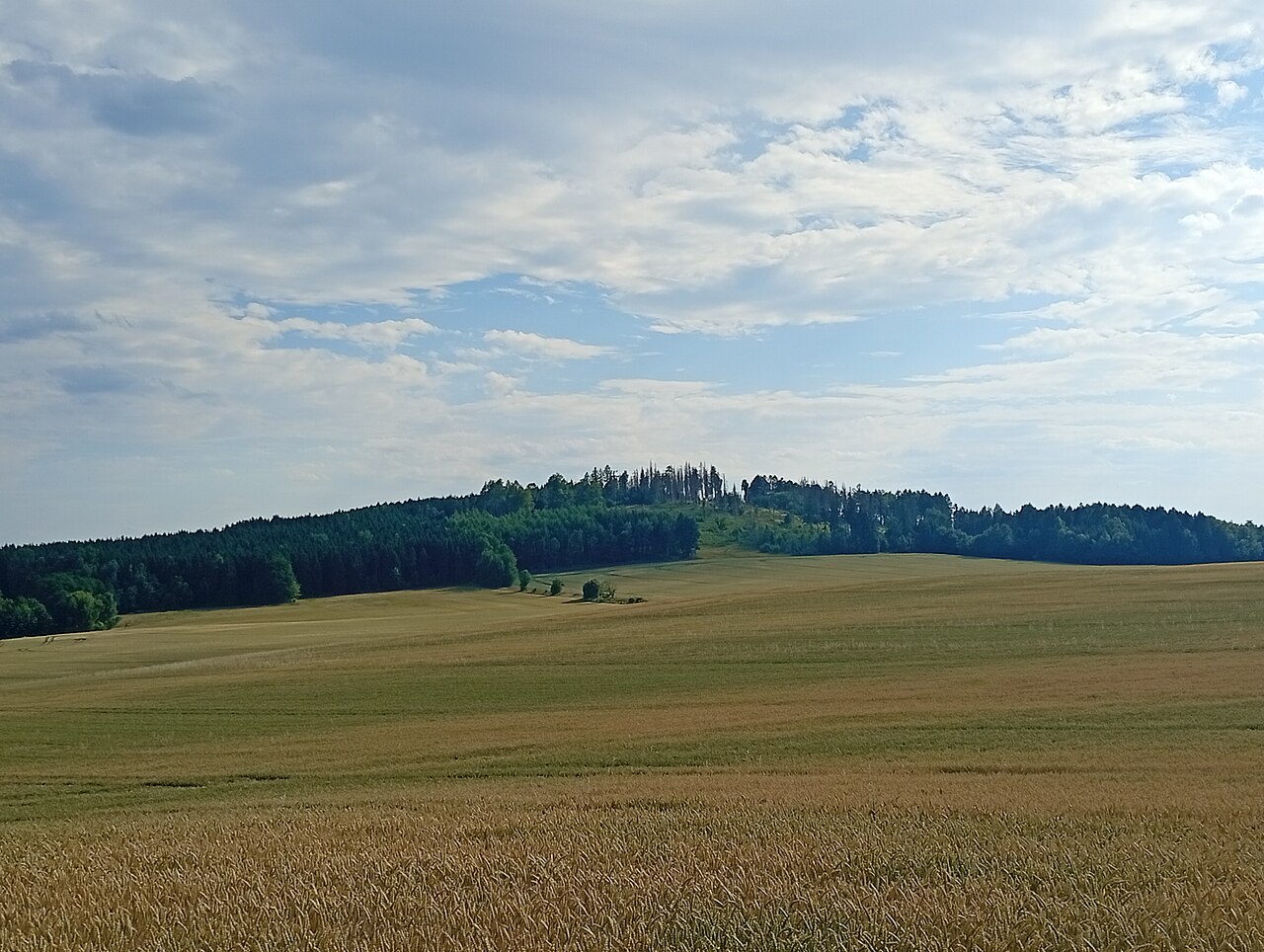 Pohled ze severu