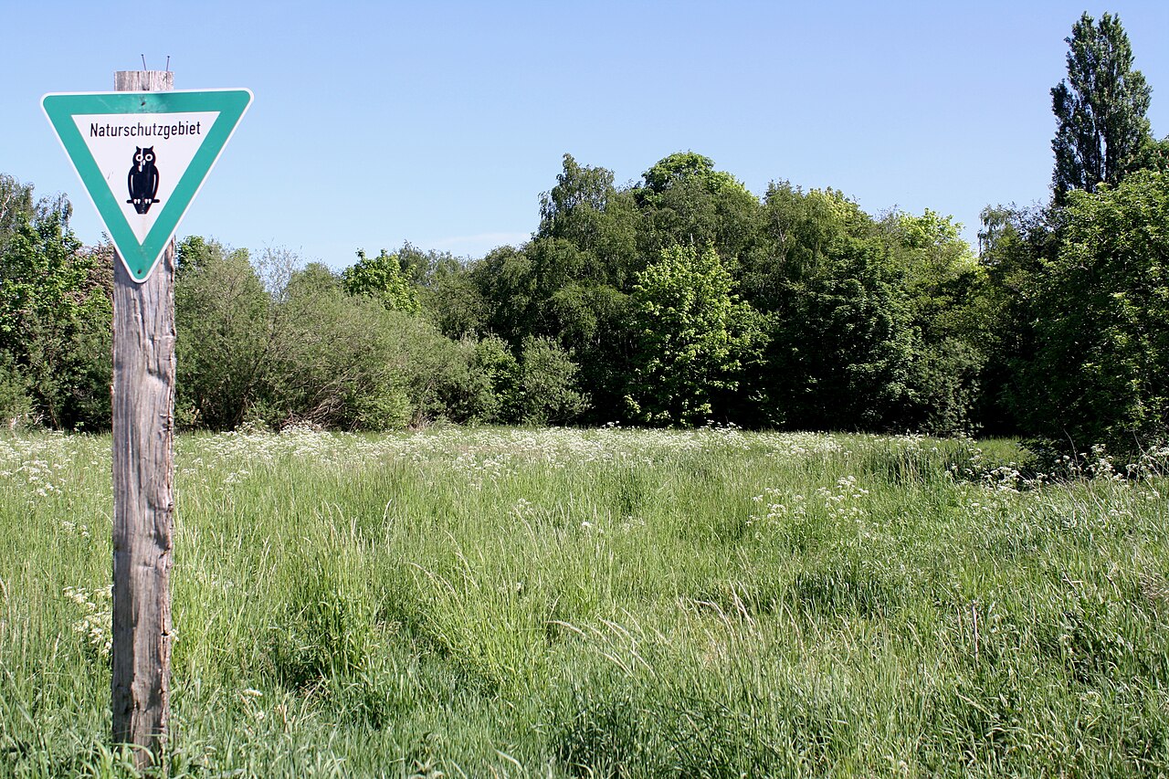 Nature reserve Idehorst, Berlin