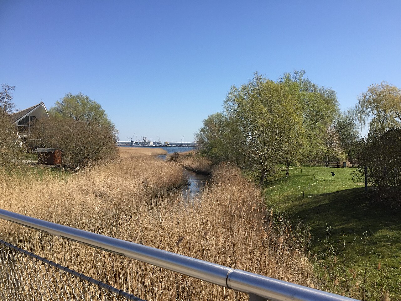 Der Blick geht über den Teil des Naturschutzgebietes im Igapark Rostock