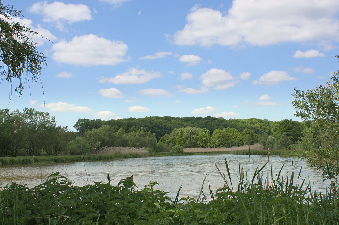 See Neunstetten im Frühjahr Krautheim