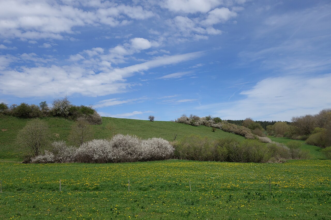 Naturschutzgebiet Immerland