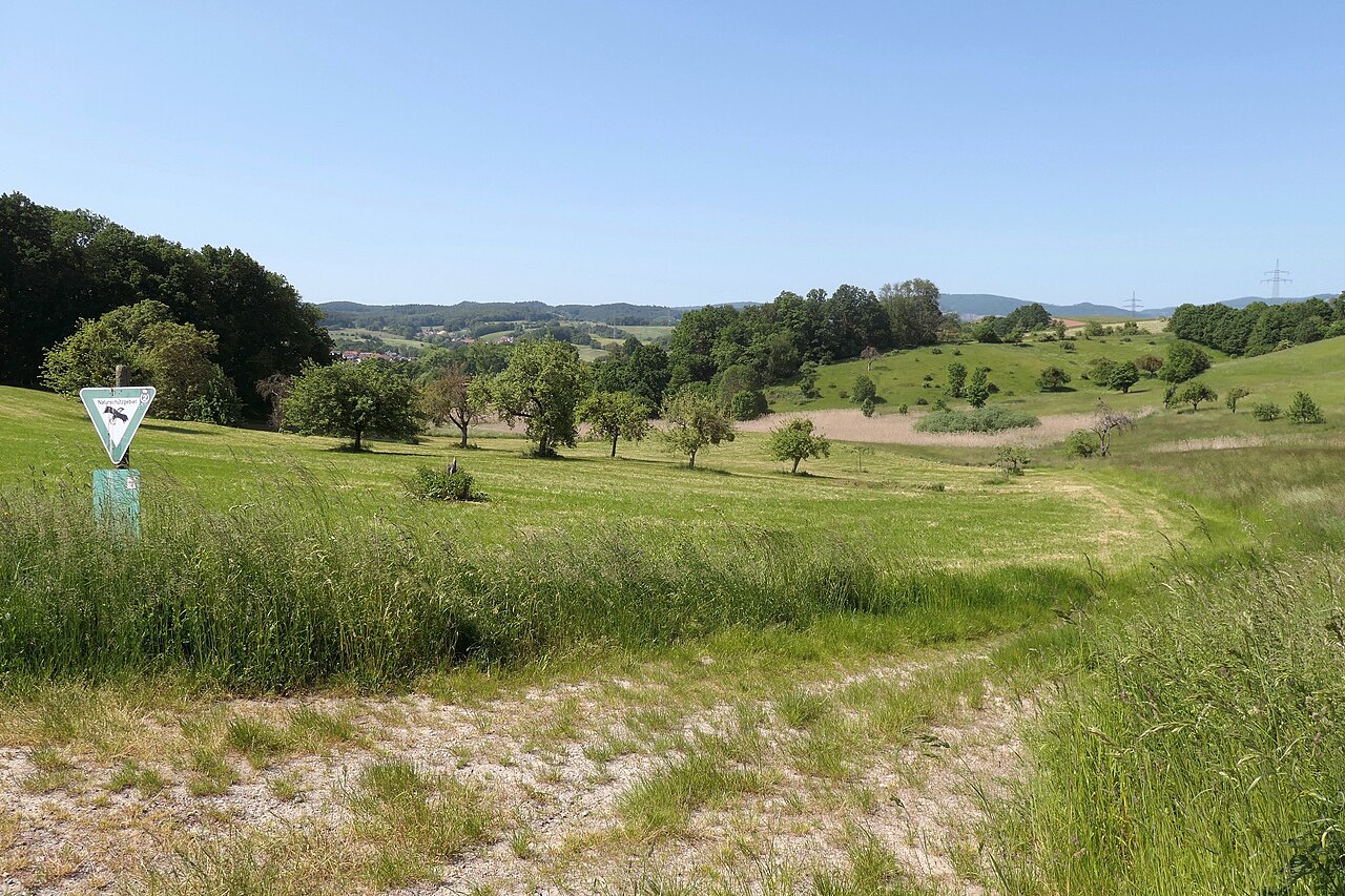Naturschutzgebiet In der Erbach bei Mörlenbach von Süden (Mörlenbach, Landkreis Bergstraße, Hessen)