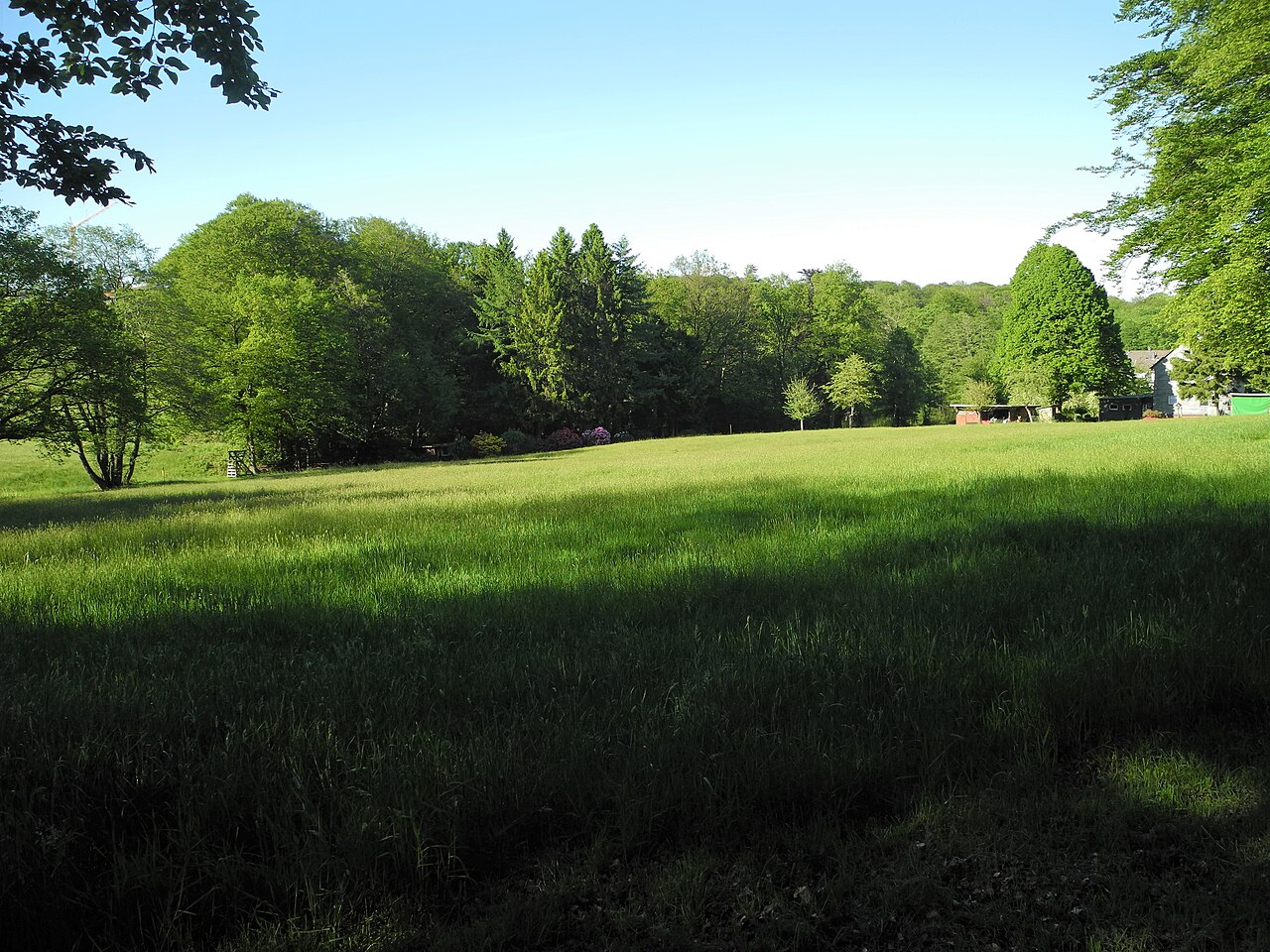 Wuppertal, Wohnquartier Dönberg, Naturschutzgebiet In der Hagerbeck, Wiese westlich hinter Haus Dönberger Str