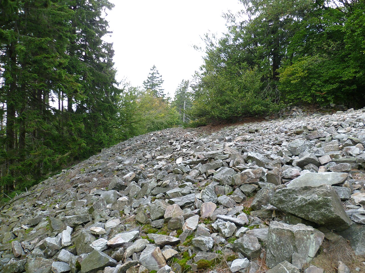 Der Innenwall des Ringwalls Altkönig im Westbereich im Südostbereich beim Zugang vom Wanderweg