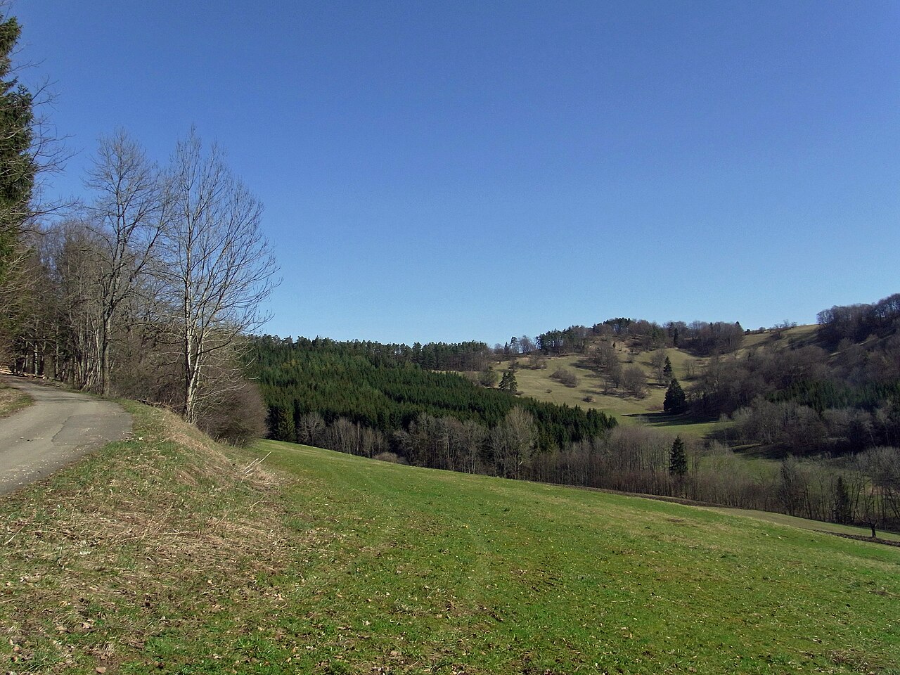 Irrenberg von Südwesten