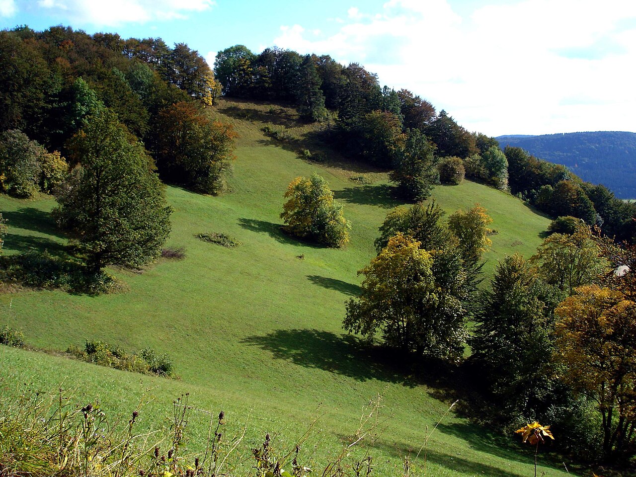 Holzwiesen am Irrenberg