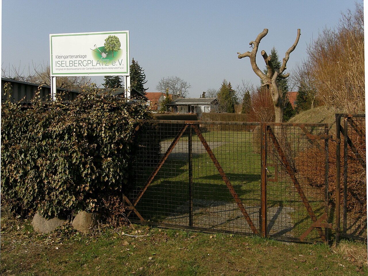 Berlin-Kaulsdorf, KGA Iselbergplatz