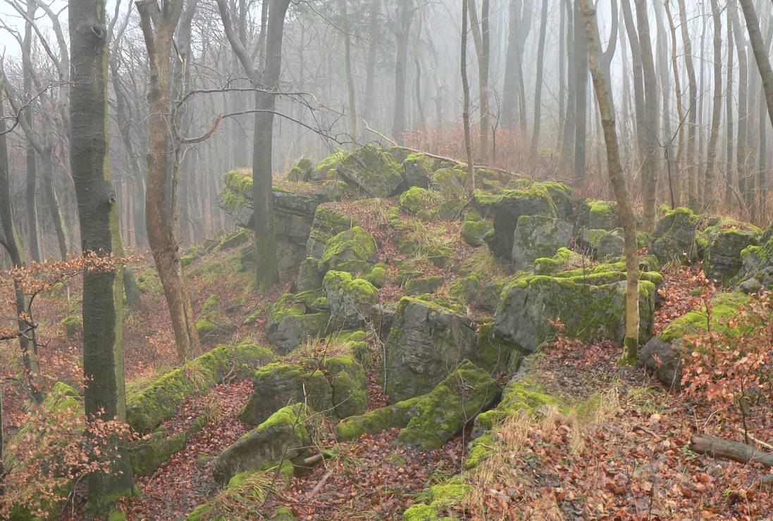 Foto von Ith