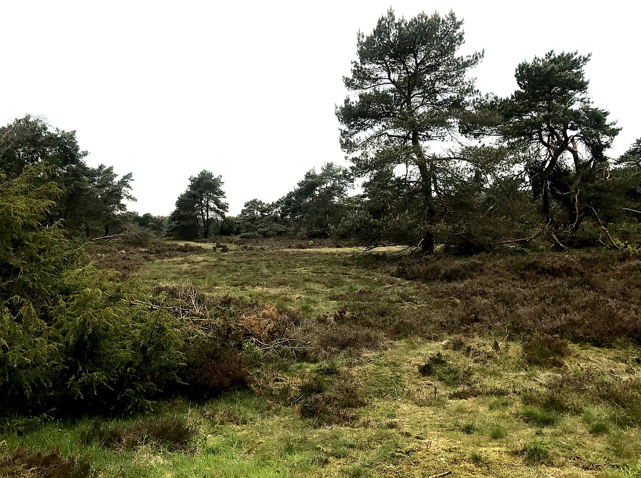 Itterbecker Heide