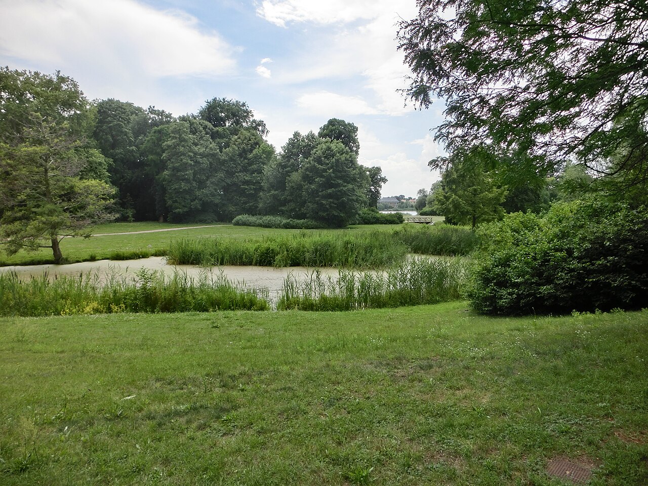 Berlin: Jagdschlossgarten Glienicke, Blick auf den Wiesenteich Juli 2014