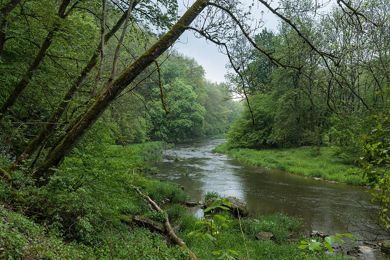Die Ufer der Jagst sind in diesem Flussabschnitt zwischen Crailsheim und Kirchberg zum großen Teil unzugänglich