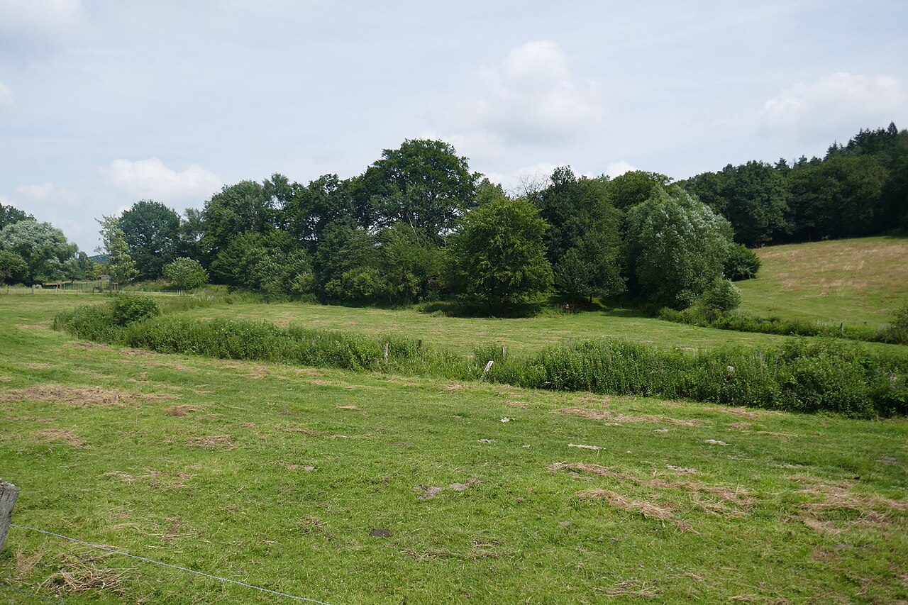 Naturschutzgebiet Jakobsberg (Steinhagen)